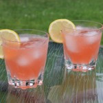 Strawberry Rhubarb Infused Vodka